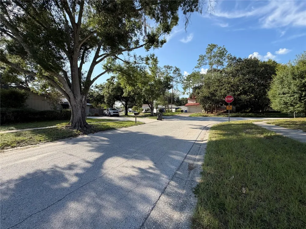 14705 PENGUIN PLACE Tampa, FL 33625