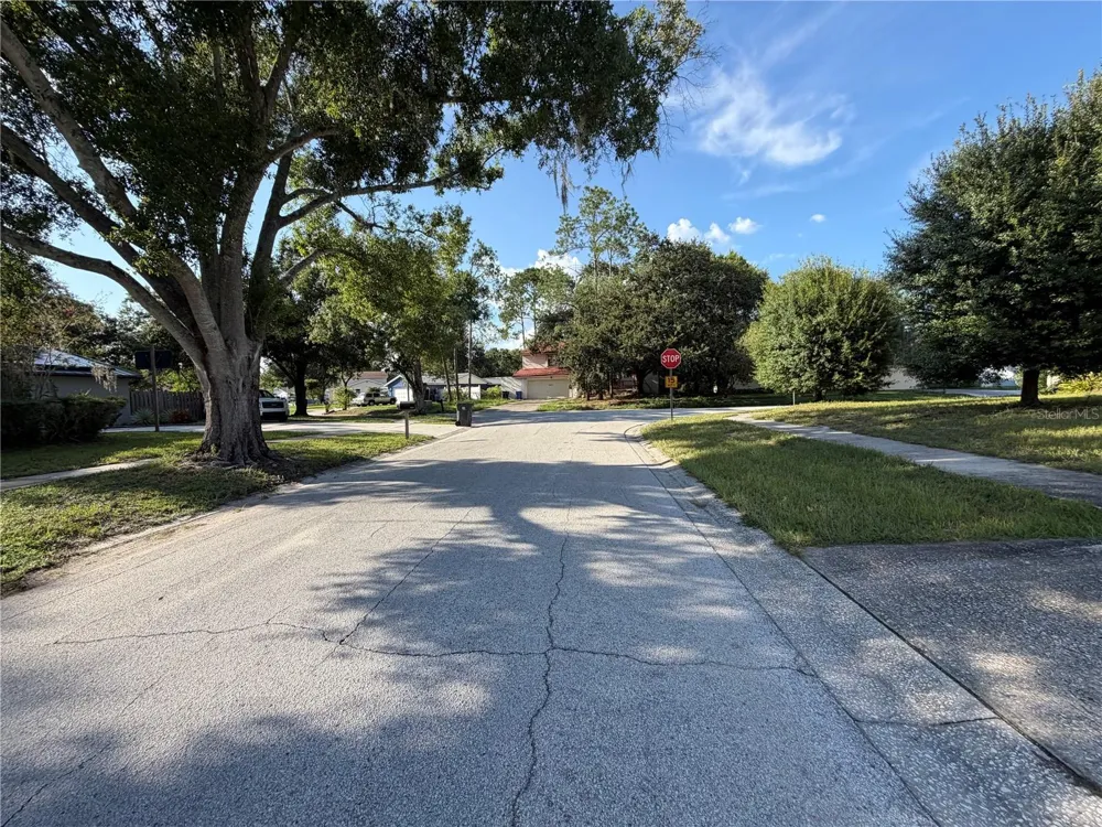 14705 PENGUIN PLACE Tampa, FL 33625