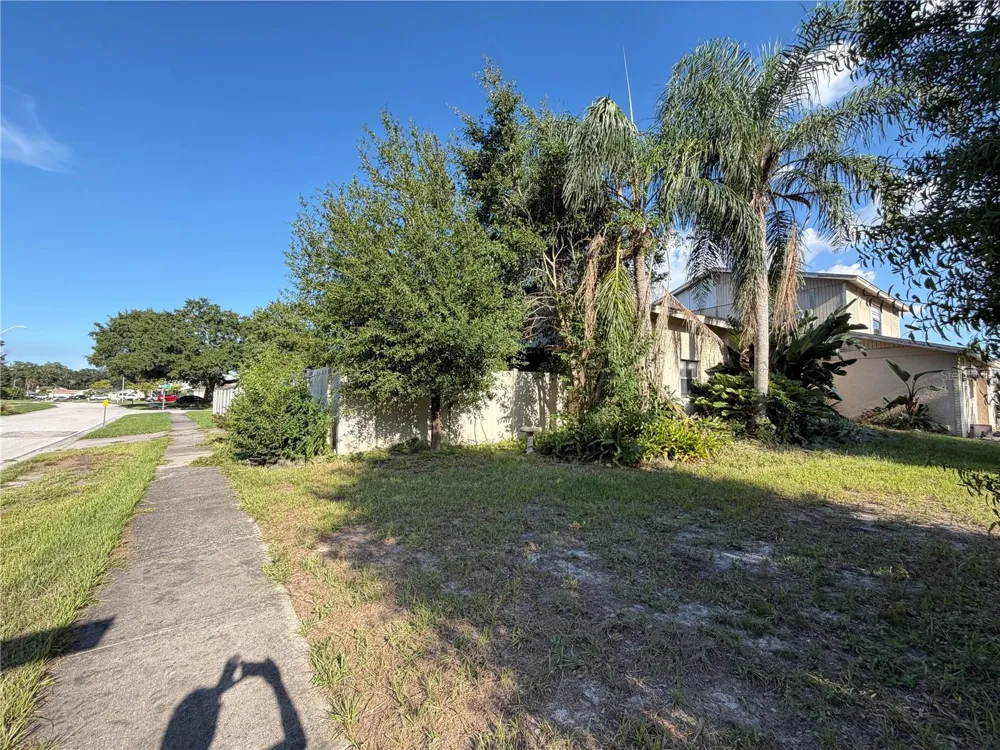 14705 PENGUIN PLACE Tampa, FL 33625