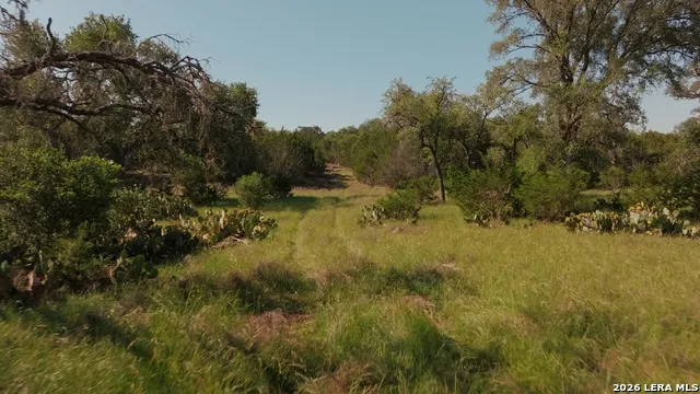 360 Kirk Ln Bulverde, TX 78163