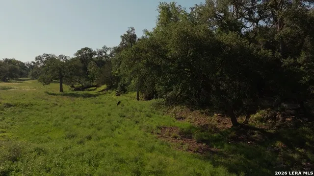 360 Kirk Ln Bulverde, TX 78163