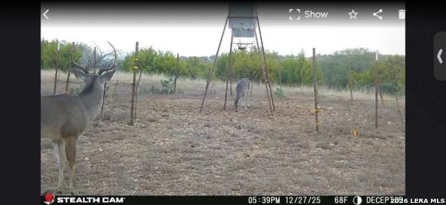 2633 Jackson Creek Medina, TX 78055