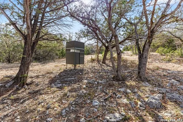 2633 Jackson Creek Medina, TX 78055