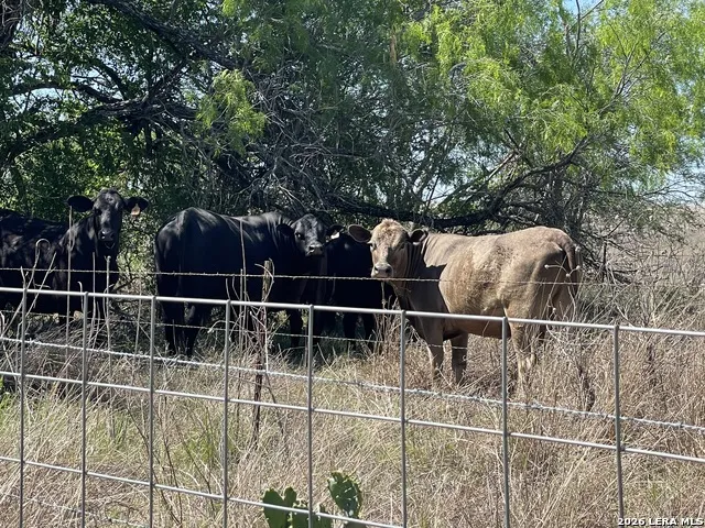 2141 County Road 132 Floresville, TX 78114