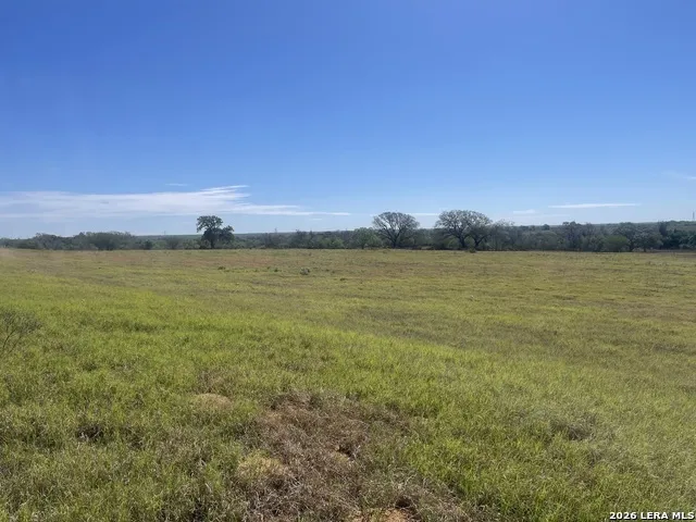 2141 County Road 132 Floresville, TX 78114