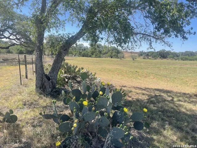 2141 County Road 132 Floresville, TX 78114
