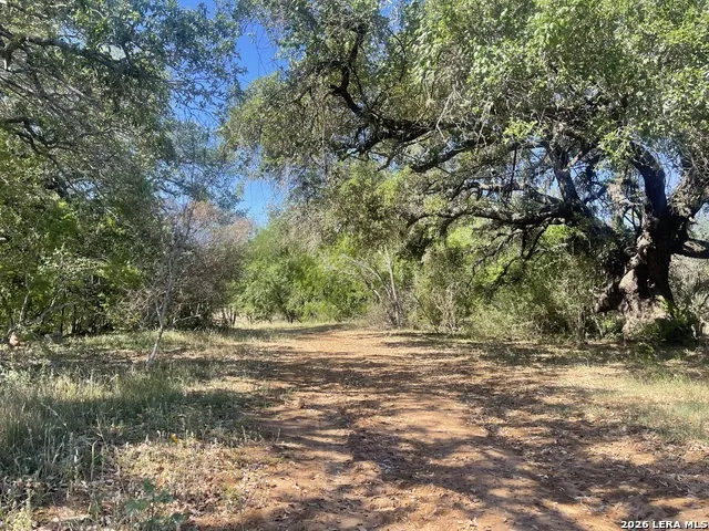 2141 County Road 132 Floresville, TX 78114