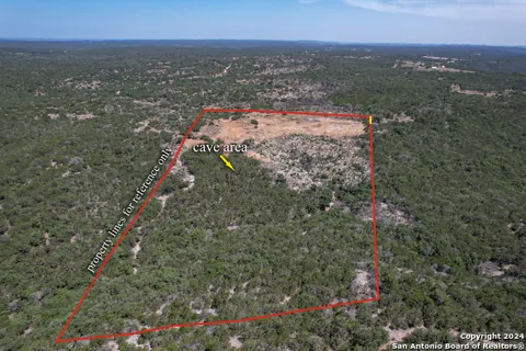 351 Ringtail Rd
