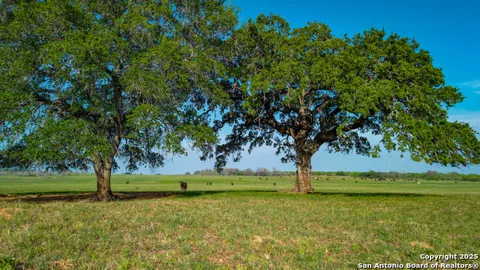 TBD County Road 404