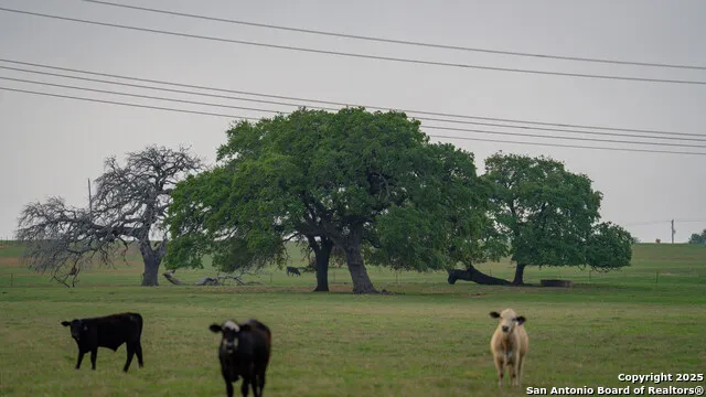 TBD County Road 404 Floresville, TX 78114