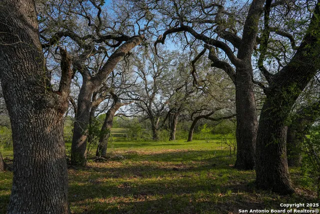 TBD County Road 404 Floresville, TX 78114