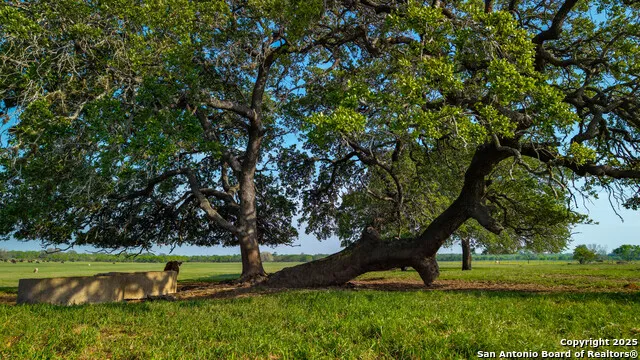 TBD County Road 404 Floresville, TX 78114