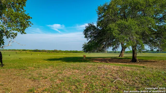 TBD County Road 404 Floresville, TX 78114