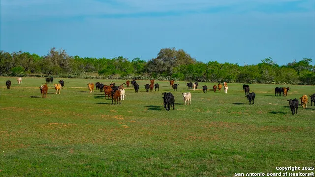 TBD County Road 404 Floresville, TX 78114