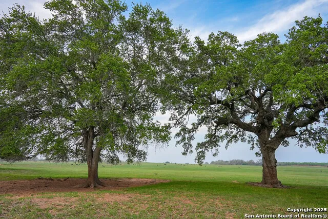 TBD County Road 404 Floresville, TX 78114
