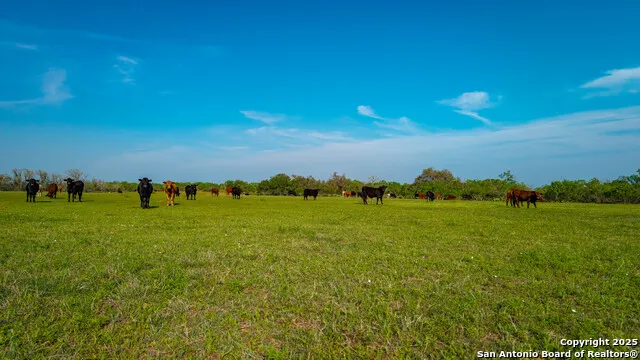 TBD County Road 404 Floresville, TX 78114