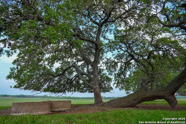 TBD County Road 404 Floresville, TX 78114