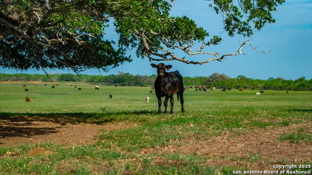 TBD County Road 404 Floresville, TX 78114
