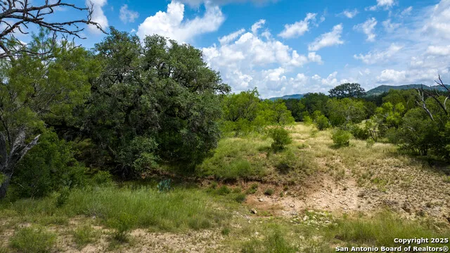 1231 B & R Road Vanderpool, TX 78885