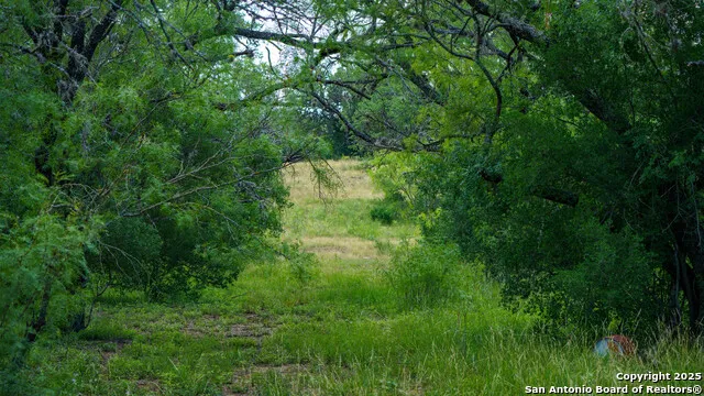 1231 B & R Road Vanderpool, TX 78885