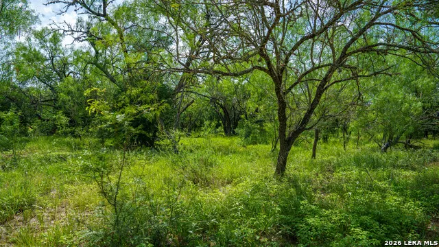 1231 B & R Road Vanderpool, TX 78885