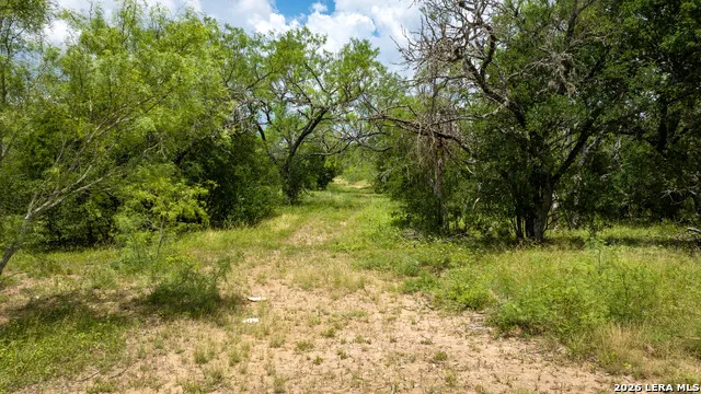 1231 B & R Road Vanderpool, TX 78885