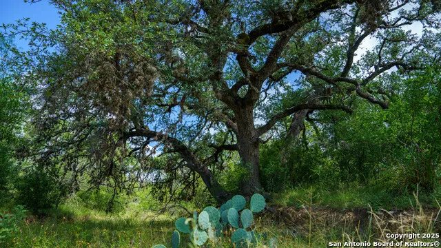 1231 B & R Road Vanderpool, TX 78885