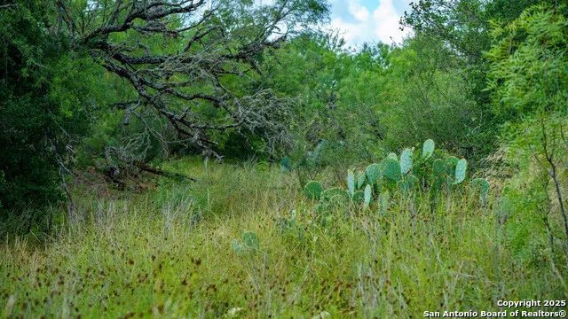 1231 B & R Road Vanderpool, TX 78885