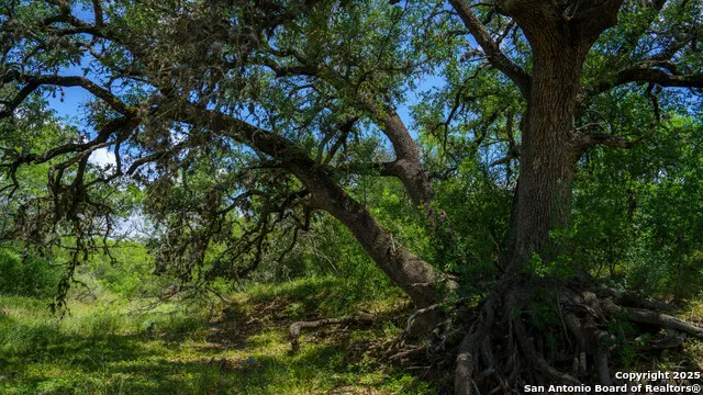 1231 B & R Road Vanderpool, TX 78885