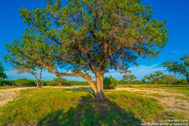 118 Majestic Oaks Drive Boerne, TX 78006