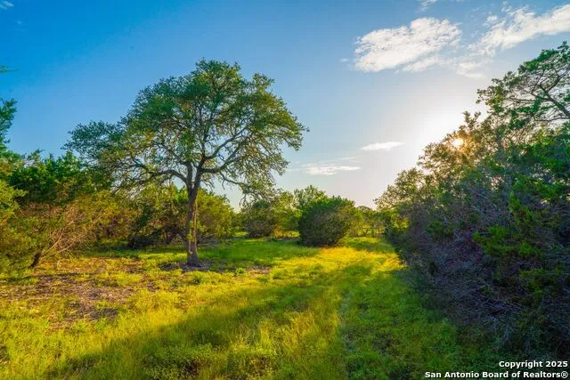118 Majestic Oaks Drive Boerne, TX 78006