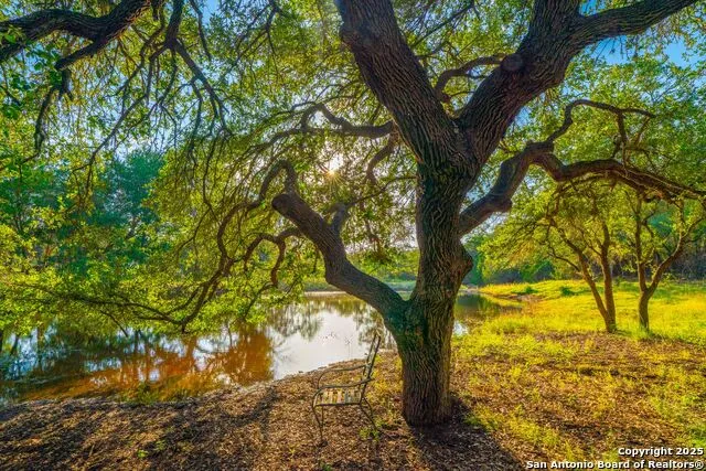 118 Majestic Oaks Drive Boerne, TX 78006