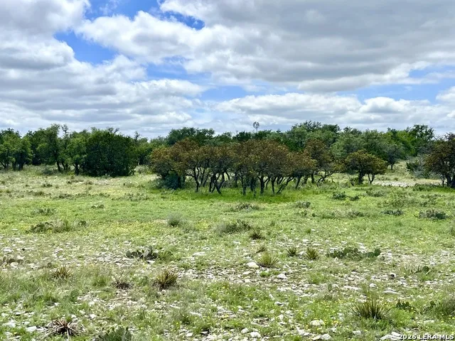 221 Turkey Run Eldorado, TX 76936