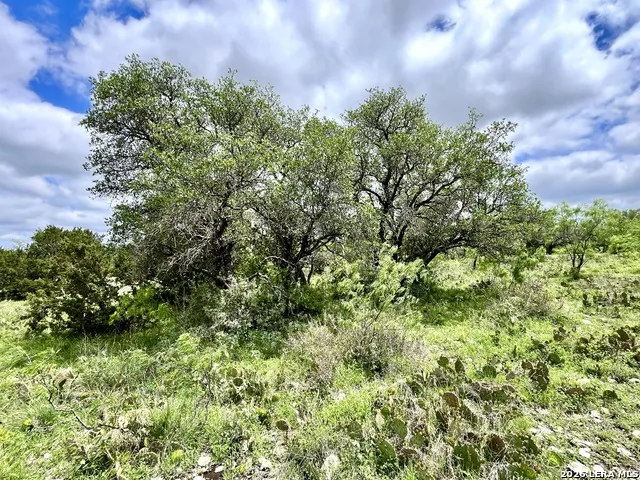 221 Turkey Run Eldorado, TX 76936