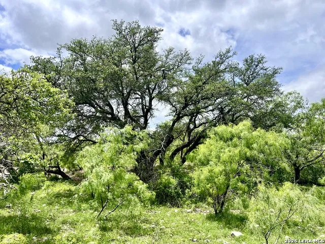 221 Turkey Run Eldorado, TX 76936