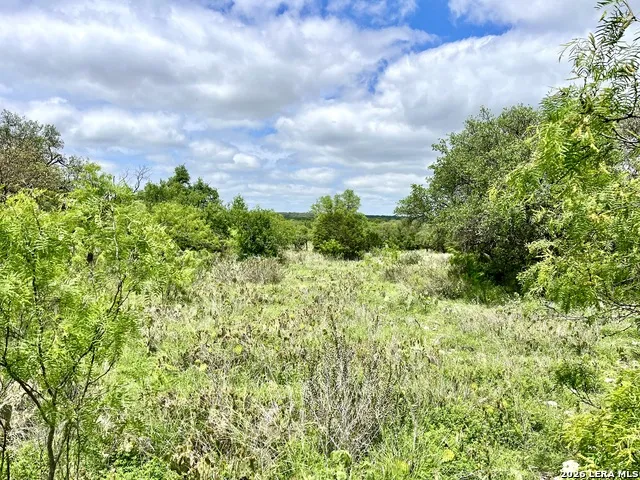 221 Turkey Run Eldorado, TX 76936