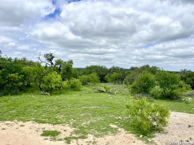221 Turkey Run Eldorado, TX 76936