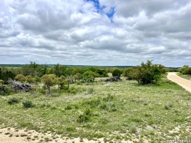 221 Turkey Run Eldorado, TX 76936