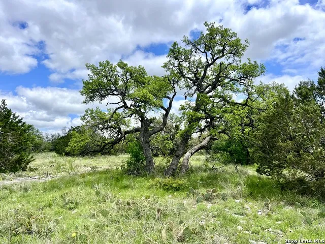 221 Turkey Run Eldorado, TX 76936