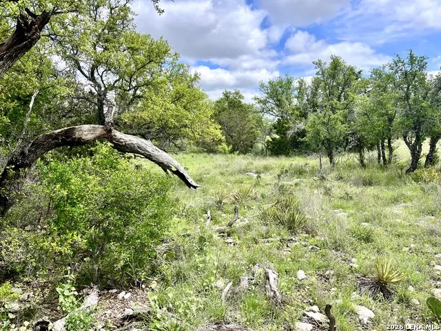221 Turkey Run Eldorado, TX 76936