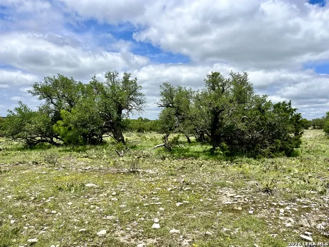 221 Turkey Run Eldorado, TX 76936