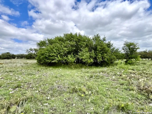 221 Turkey Run Eldorado, TX 76936