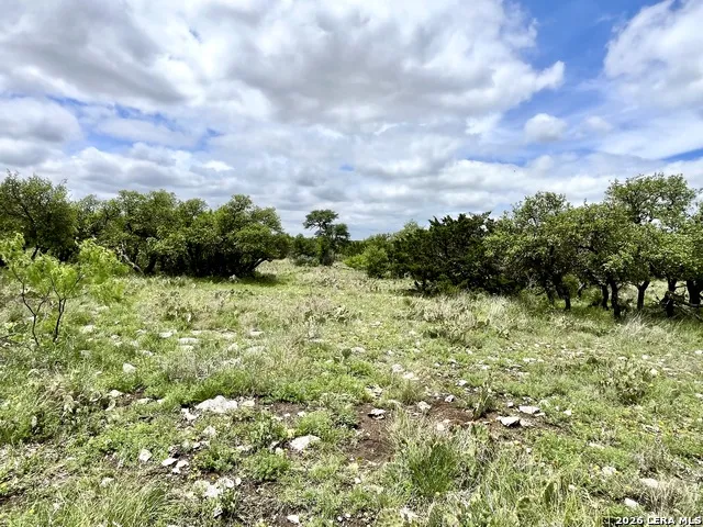 221 Turkey Run Eldorado, TX 76936