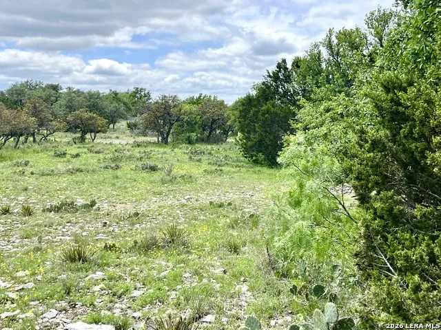 221 Turkey Run Eldorado, TX 76936