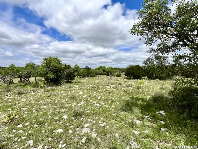 221 Turkey Run Eldorado, TX 76936