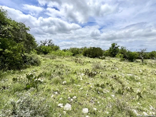 221 Turkey Run Eldorado, TX 76936