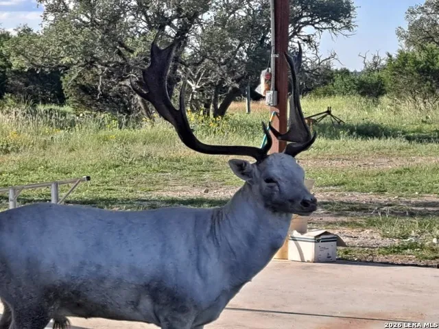 2724 Sd 24910 Rocksprings, TX 78880