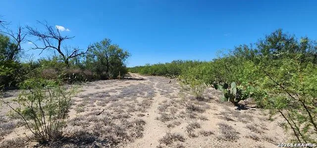 0 Loop 517 Carrizo Springs, TX 78834