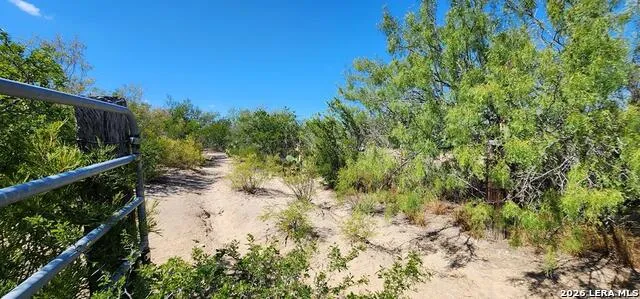 0 Loop 517 Carrizo Springs, TX 78834