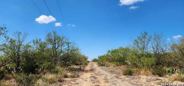0 Loop 517 Carrizo Springs, TX 78834